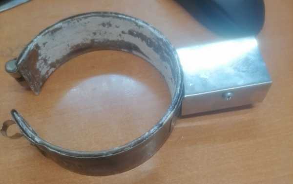 Тэн хомутовый Тэн хомутовый